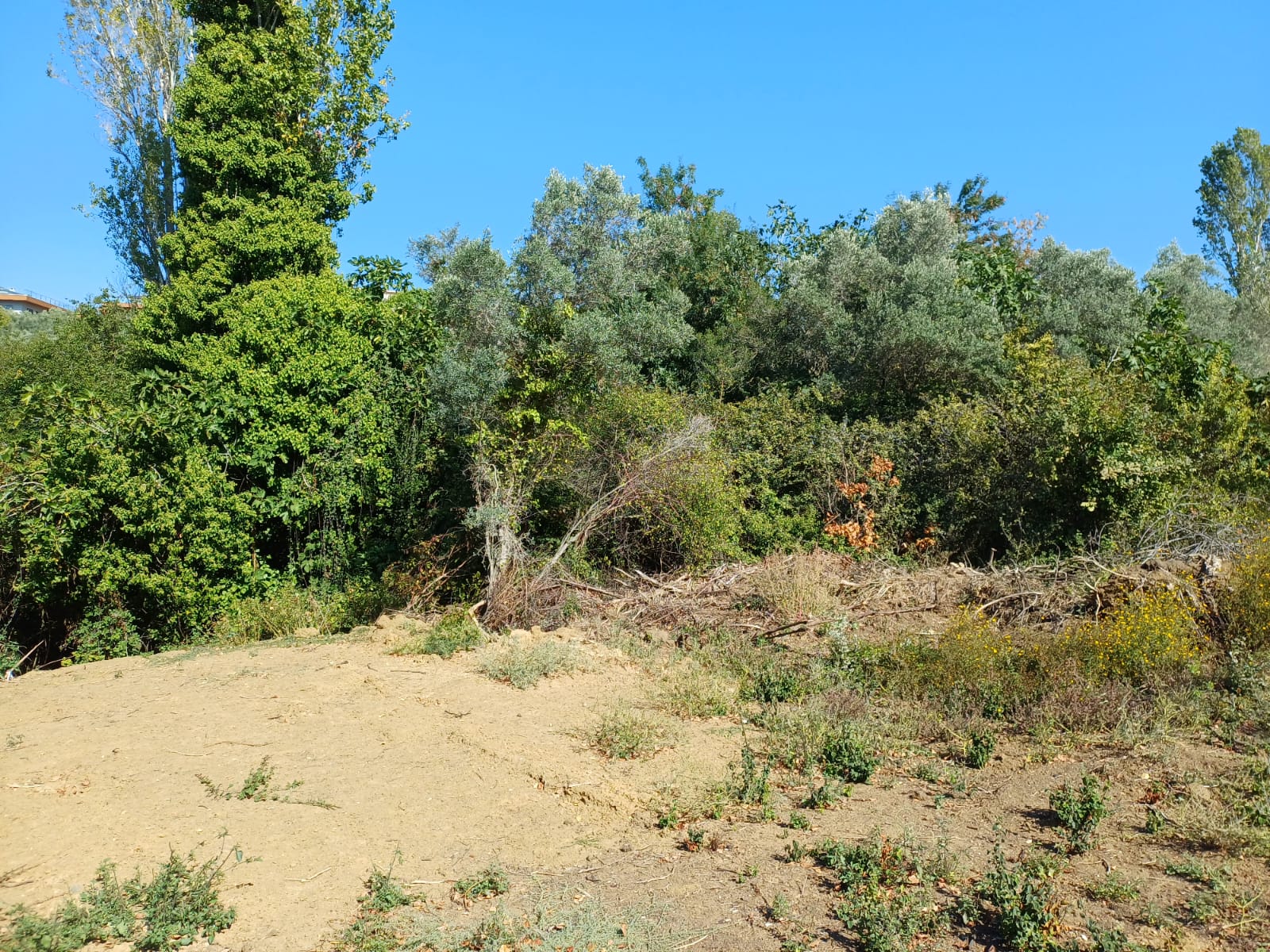 463 M2 KORUDAN YATIRIMLIK ARAZİ